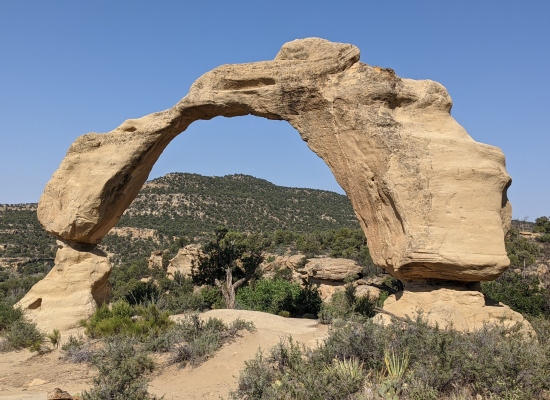 Aztec Arches